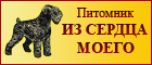 из Сердца Моего