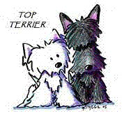 Top Terrier